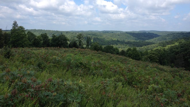 Johnson track in Laurel County purchased by the Nature Conservancy.  It's 88 on White Oak Branch Road.