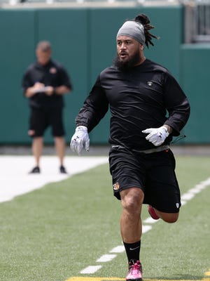 Cincinnati Bengals middle linebacker Rey Maualuga was cleared to practice at the start of training camp.