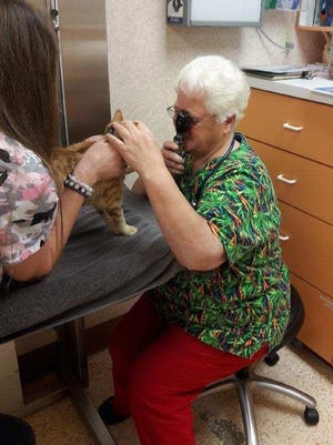 Dr. Ries of Savanna Animal Hospital examines a patient.