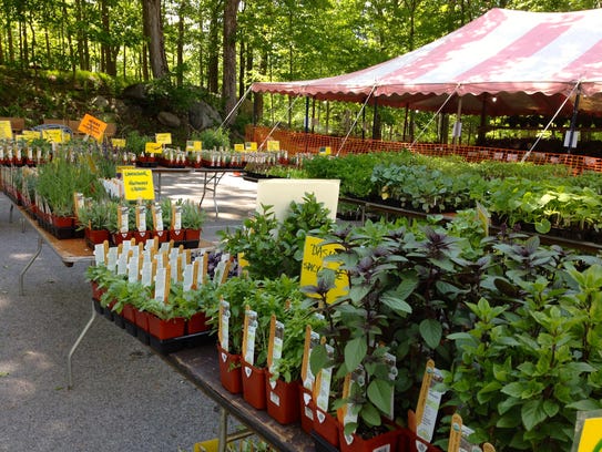Don't miss Teatown's annual PlantFest on May 13.
