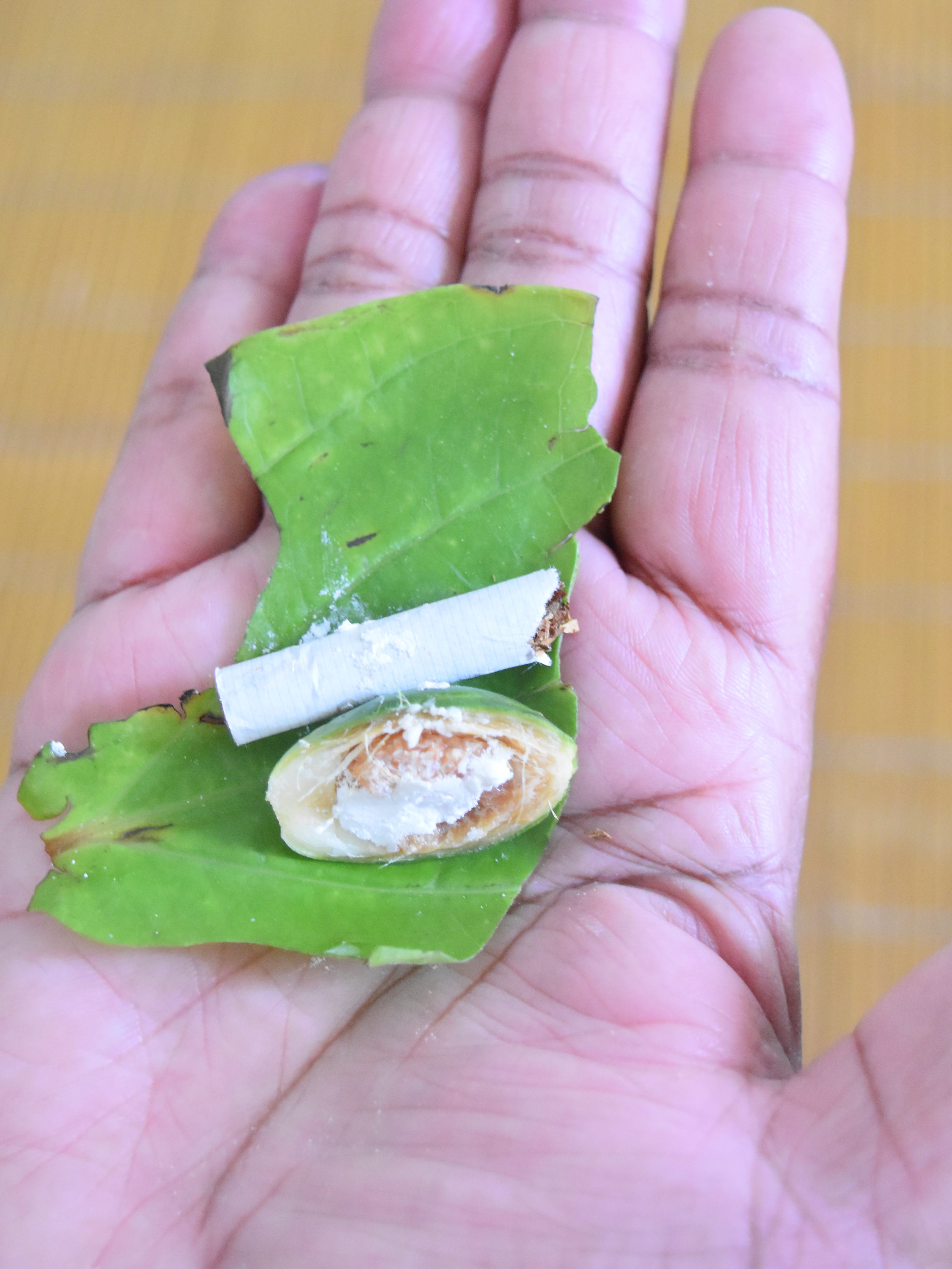 Betel nut chewing could cause cancer and loss of teeth