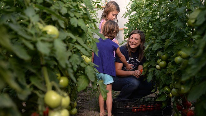 Dru Montri picks tomatoes with her daughters, Lydia, 8, and Alison, 4, on Aug. 4 at Ten Hens Farms in Bath. The farm grows produce spring to fall and year-round in unheated hoophouses, selling their products at farmers markets and Lansing-area restaurants.