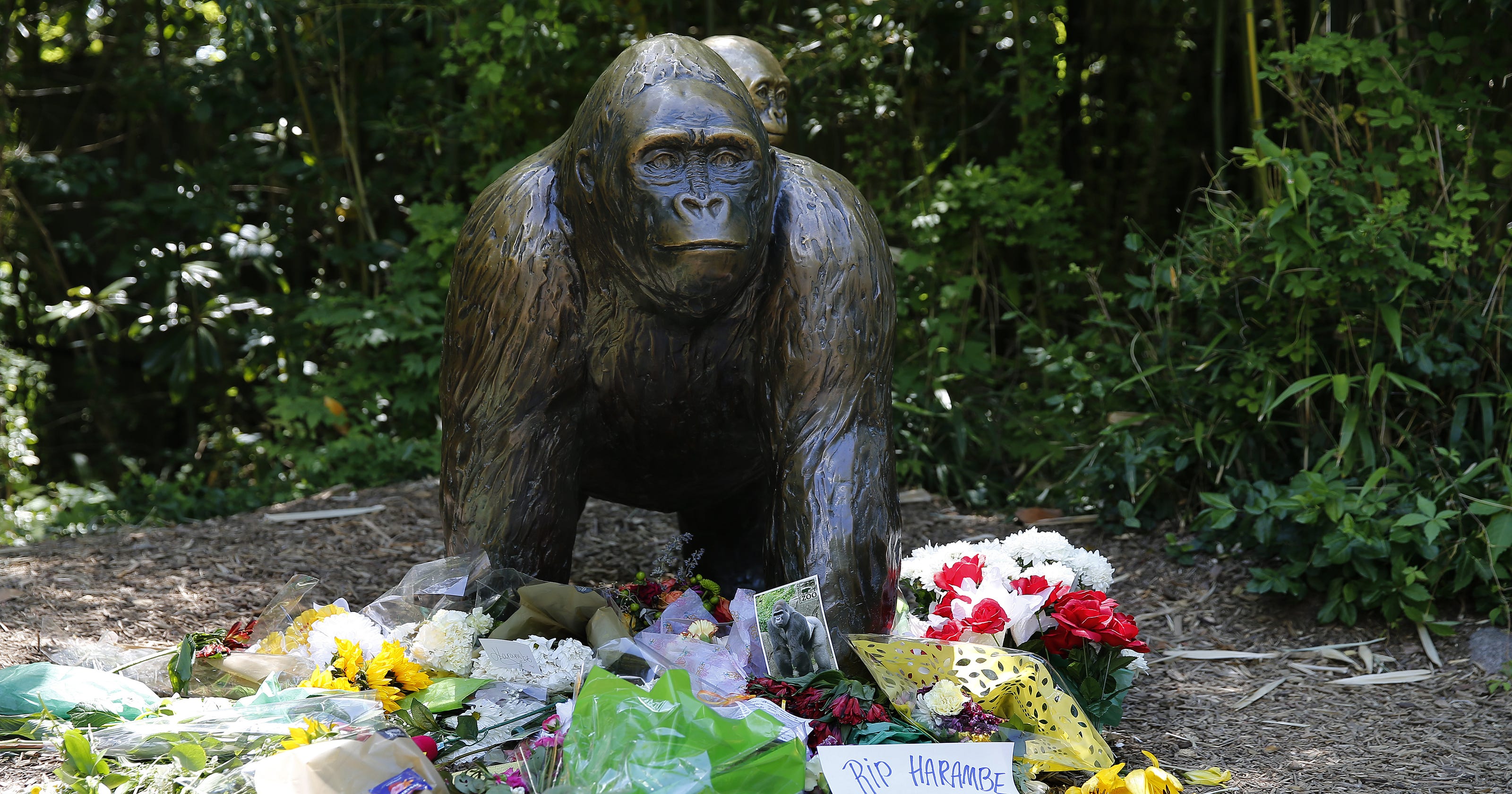 Science offers 'future' out of Harambe's remains