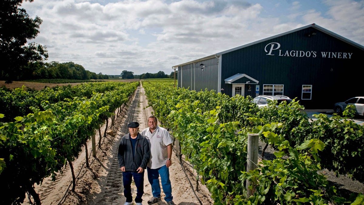 What Makes Plagido S Winery The Nj Winery Of The Year
