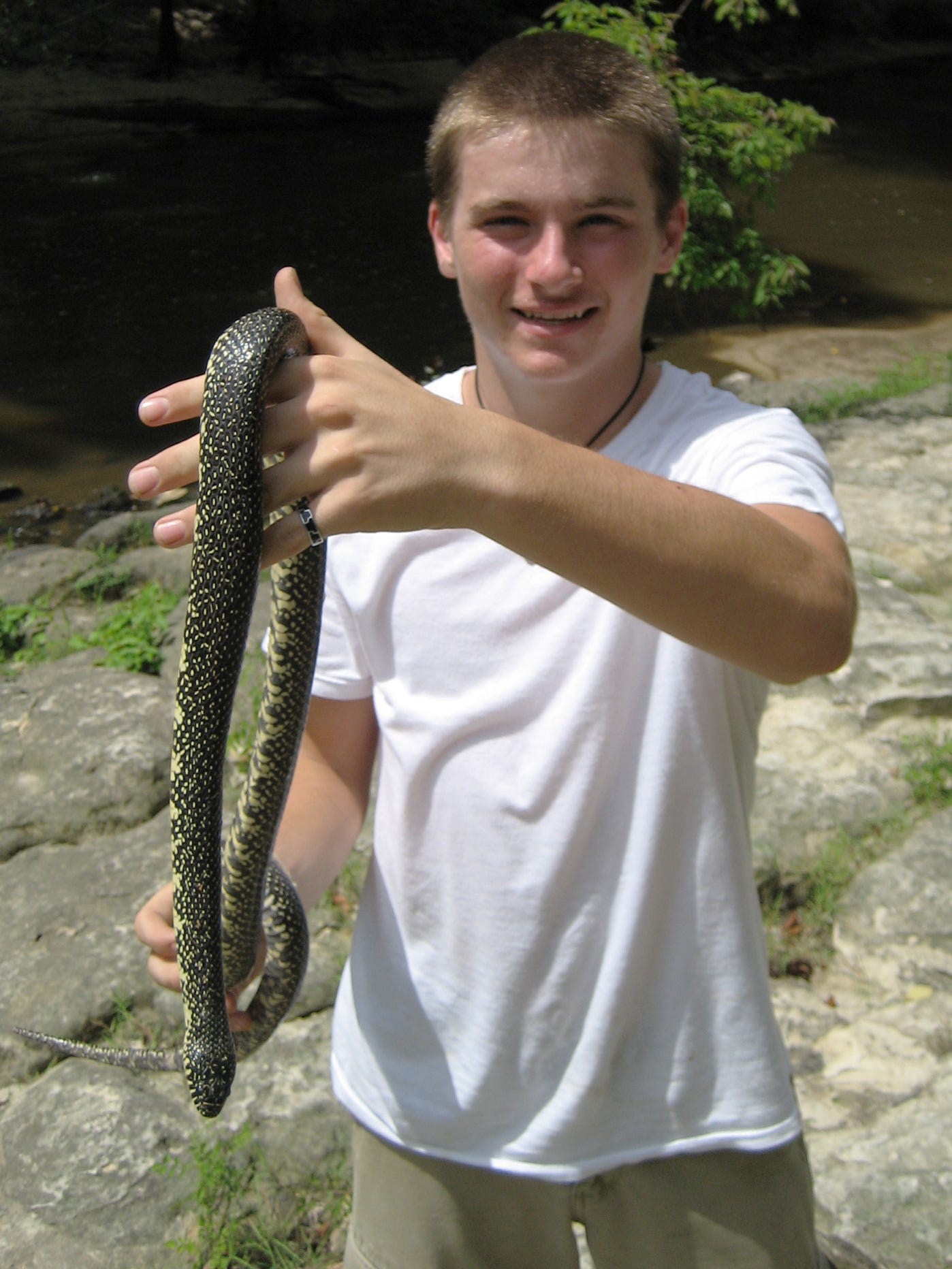 5 Snakes You May Encounter This Summer