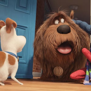 Max & His Furry Buddies Are Back (Minus Louie C.Ok. As The Lead Character)