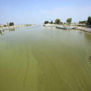 Human waste used as fertilizer in Livingston County