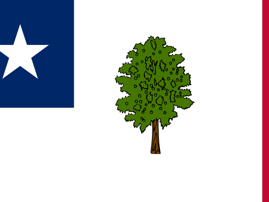 The Magnolia flag was Mississippi's first official state flag. It was adopted in 1861 and continued to be used through the Civil War.