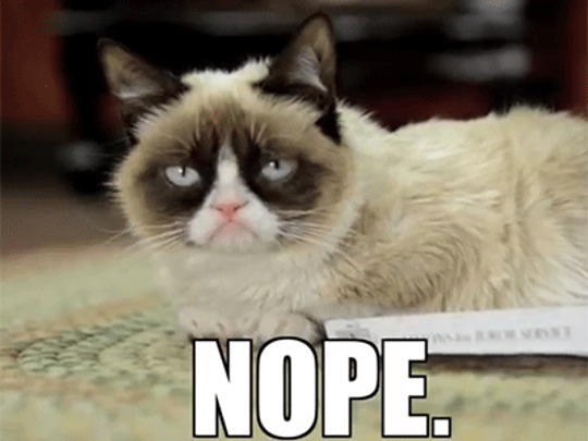 Grumpy Cat That Time We Hung Out With The Internet S Most Famous Cat