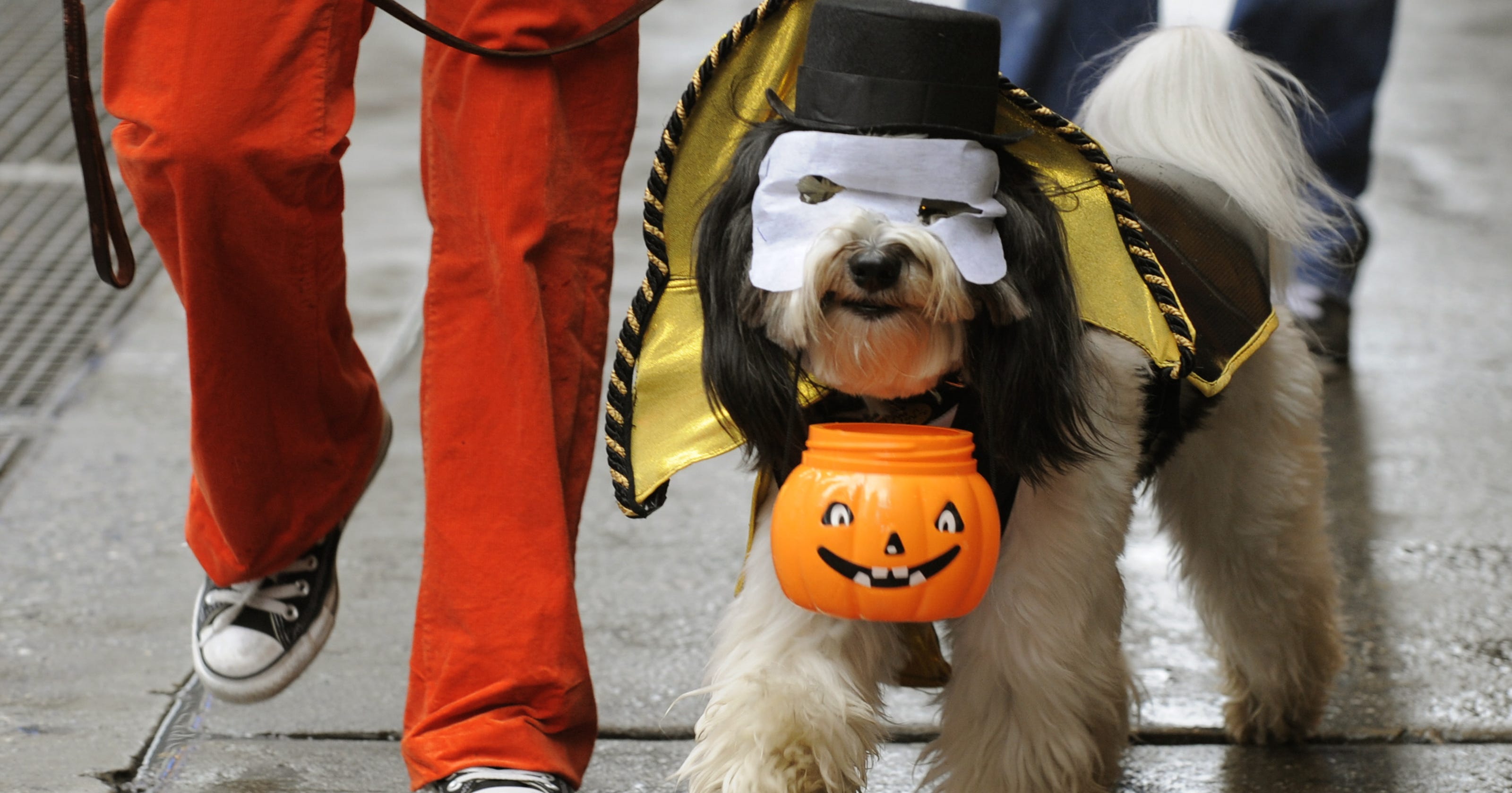 Scary stuff Halloween hazards are not just for kids