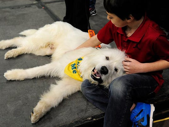 Phoenix Pet Expo