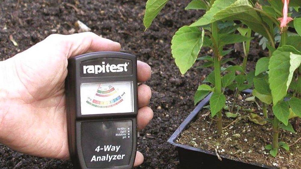 How to change the soil pH in your raised garden beds