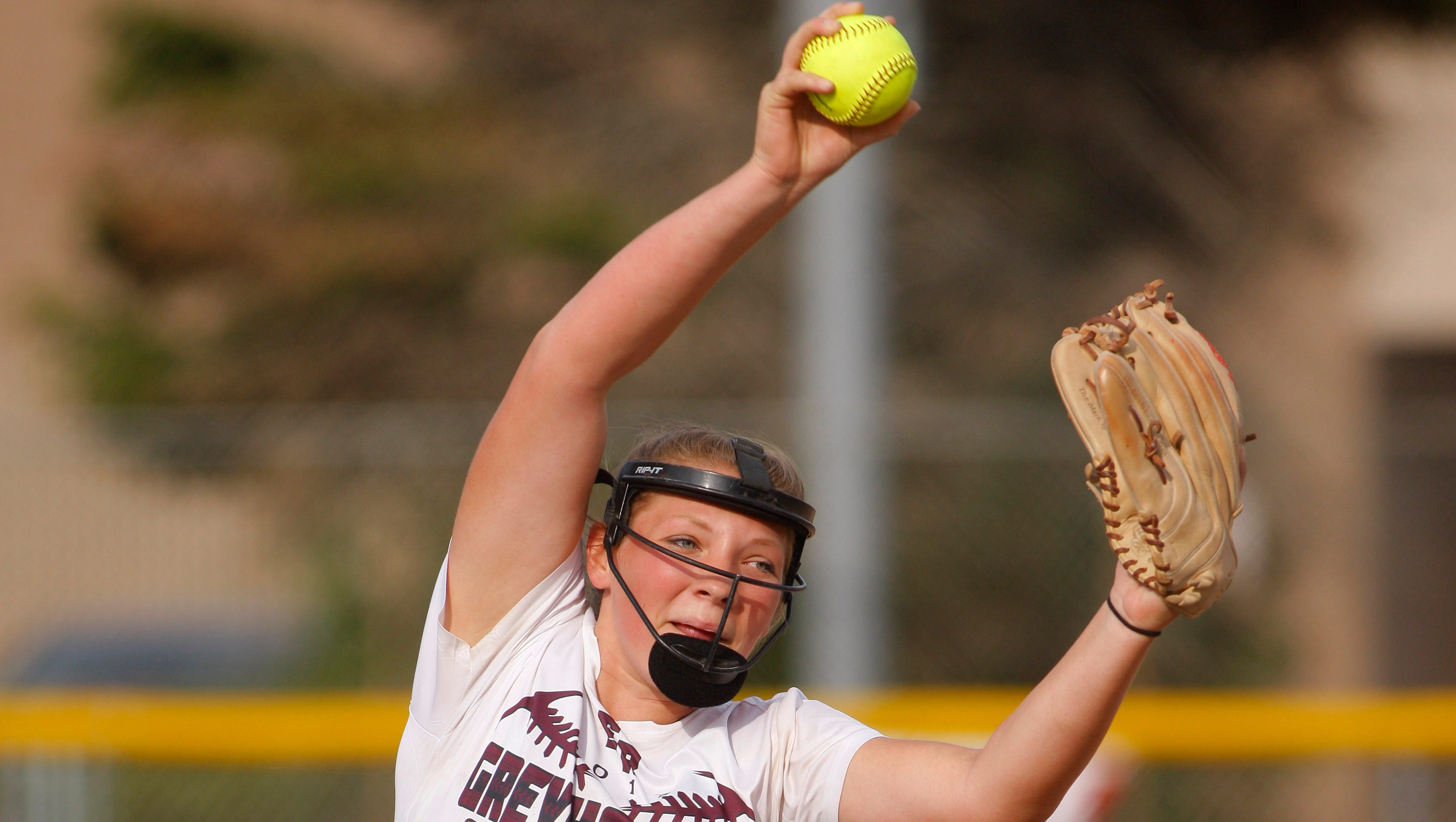 Get a look at the high school softball teams in the Lansing area