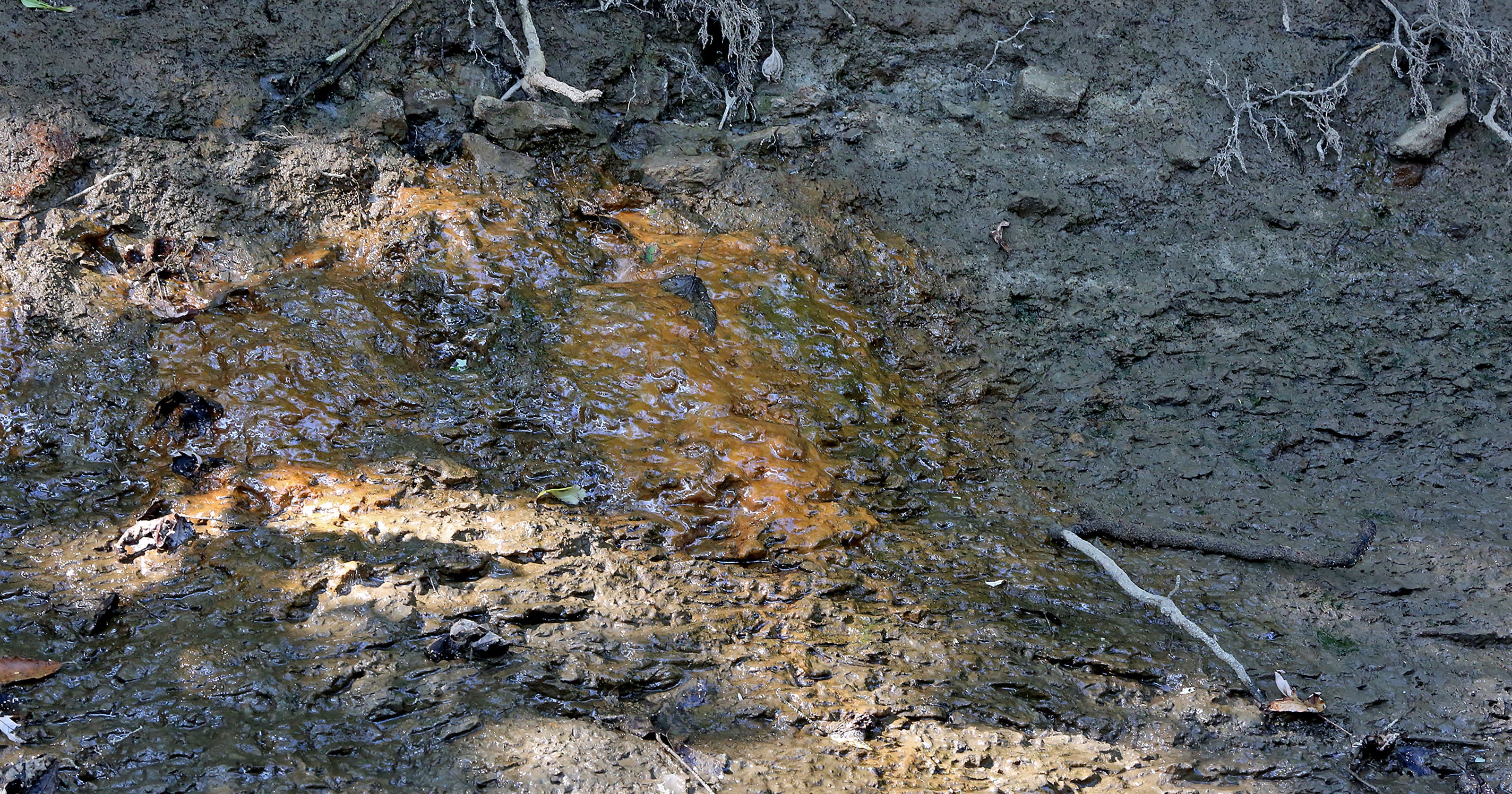 Indiana utilities must now clean up toxic contamination from coal ash