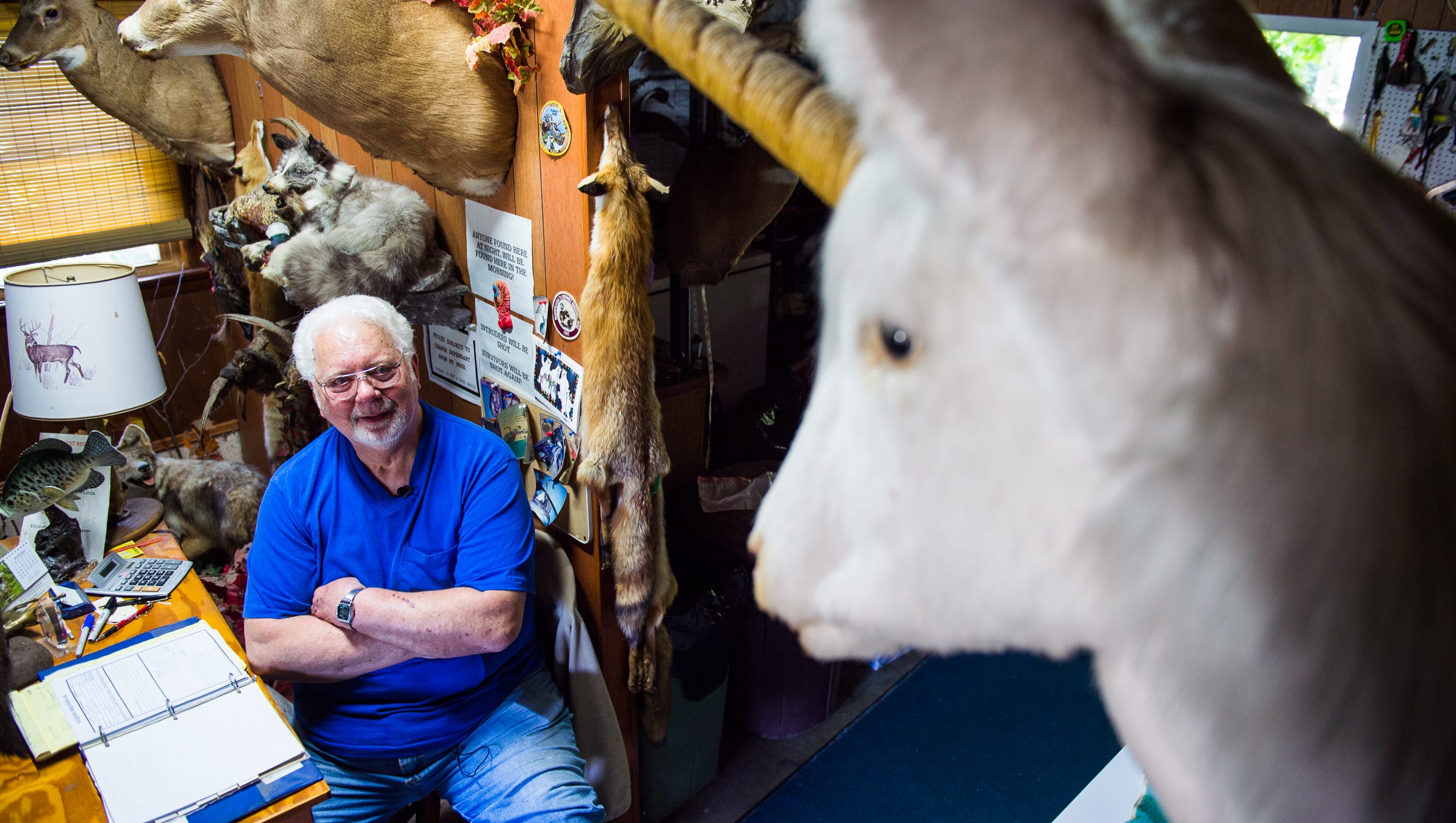 Video: Putting the unicorn in Unicorn Taxidermy Video: Putting the unicorn in Unicorn Taxidermy