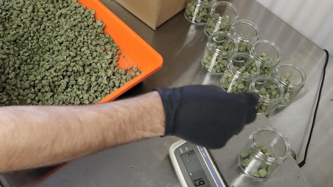 FILE - In this Friday, March 22, 2019 file photo, an employee at a medical marijuana dispensary in Egg Harbor Township, N.J., sorts buds into prescription bottles. At the end of 2018, about 1.4 million Americans are actively using marijuana to treat to treat anxiety, sleep apnea, cancer and other conditions, according to an Associated Press analysis of states that track medical marijuana patients. (AP Photo/Julio Cortez, File)