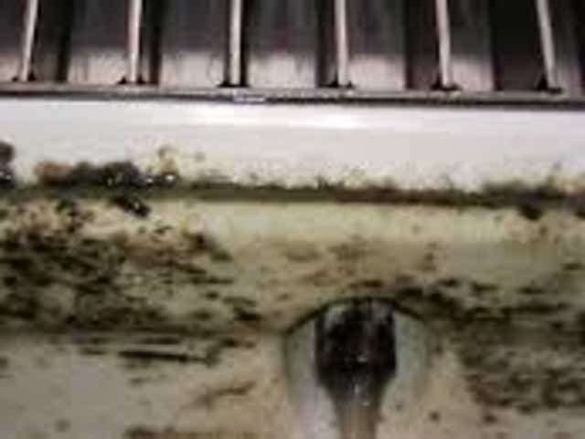 Mold And Slime On Soda Fountains Can Make You Seriously Sick