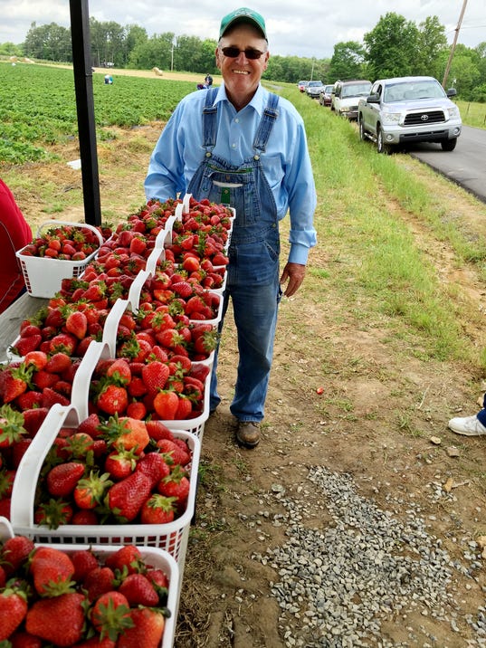 Portland Strawberry Festival still a go