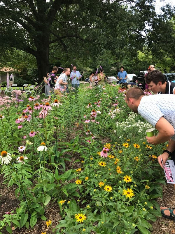 Learn about the birds and bees during third annual Pollinator Count