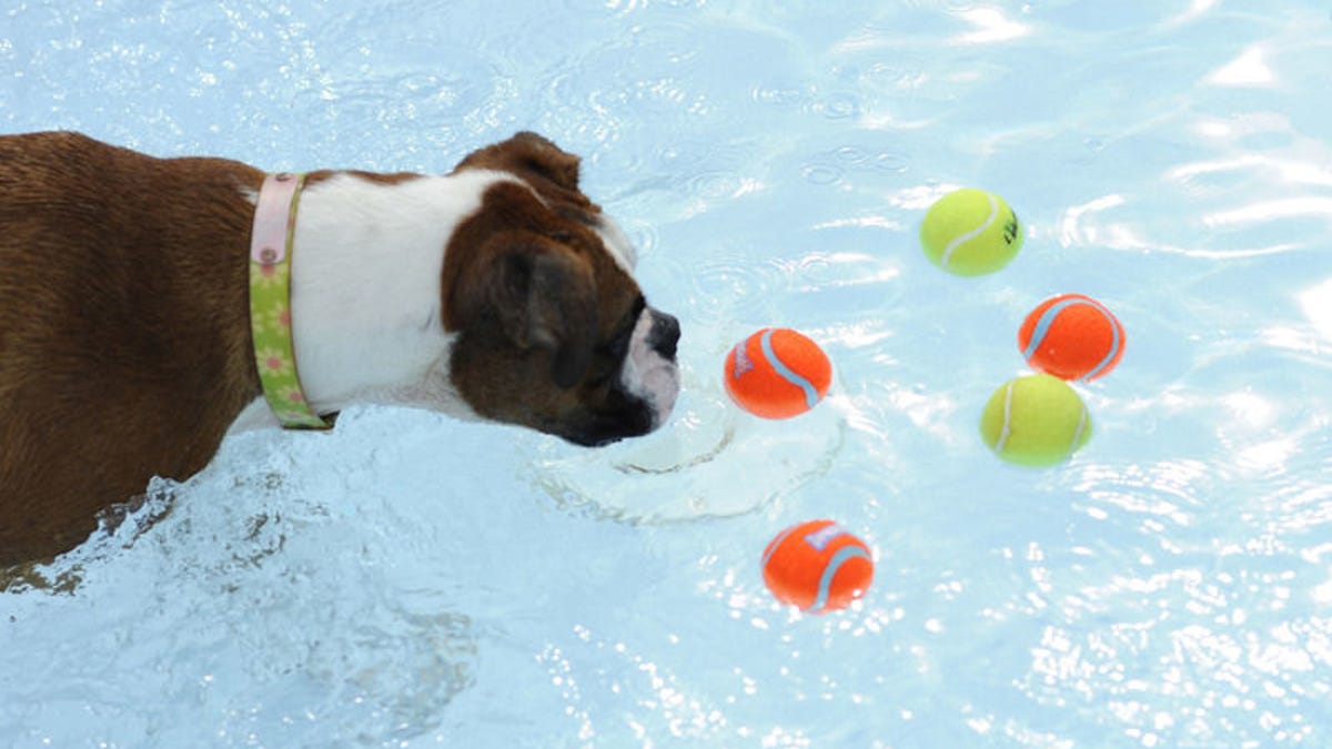 Weekend events Drool in the Pool library games American Graffiti at pool