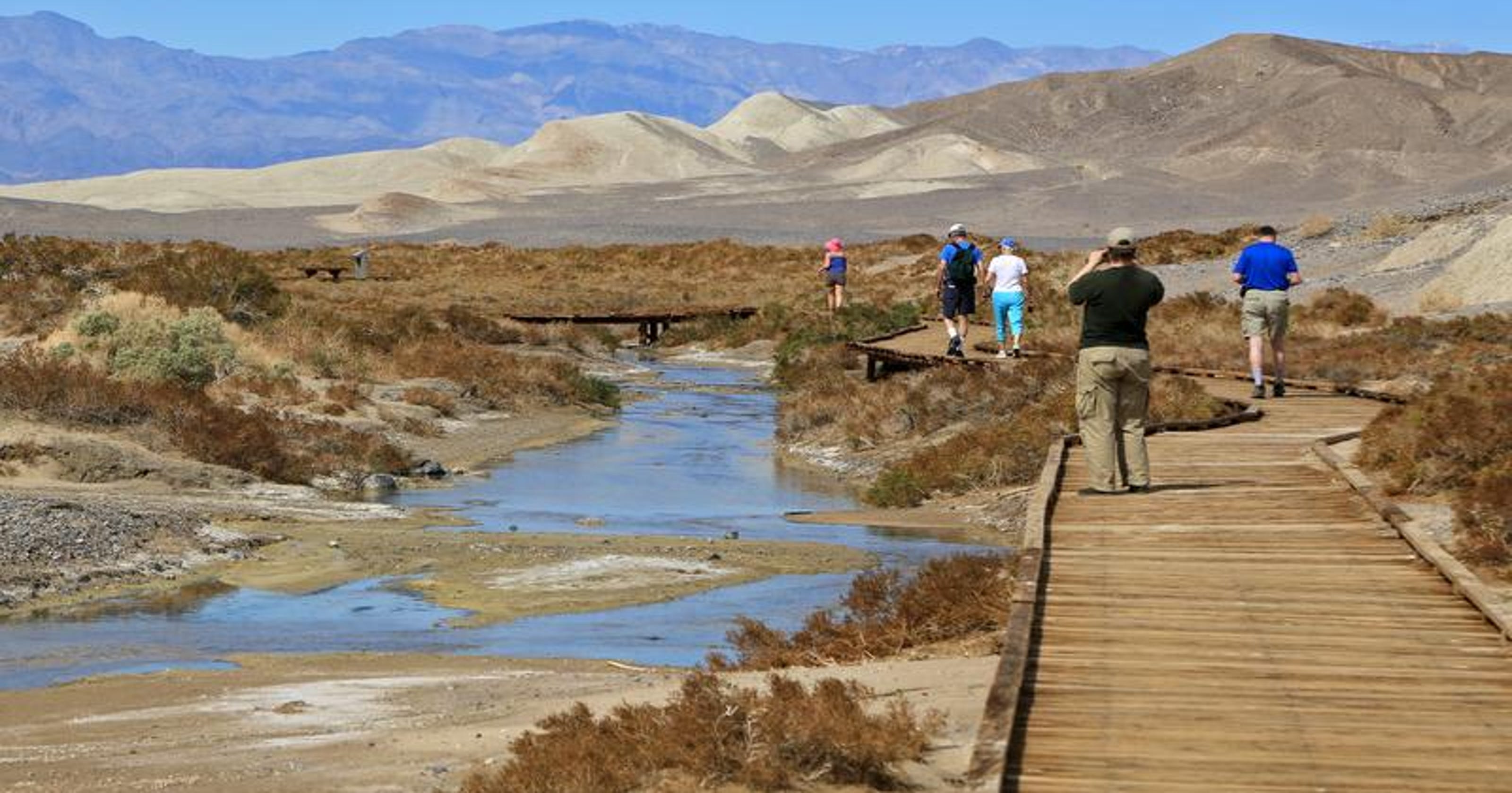 Salt Creek brings life to Death Valley