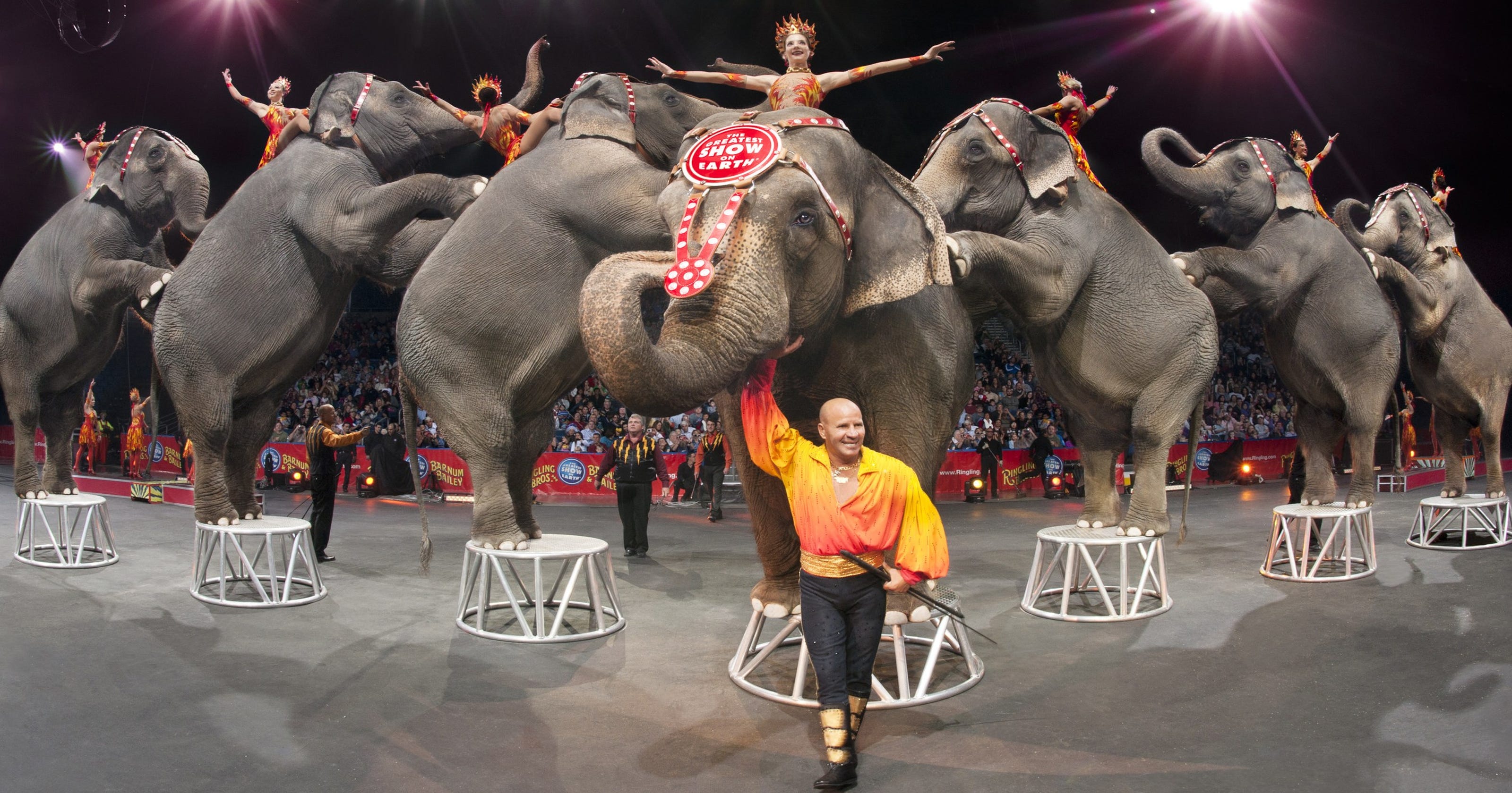 circus of the dead 2014 เต็ม เรื่อง