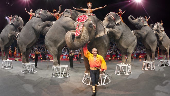 Elephants of the Ringling Bros. and Barnum & Bailey Circus.