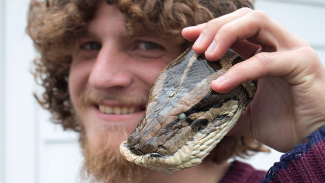 Daniel Moniz of Brick spent his winter vacation wrestling with Burmese Pythons in the Florida Everglades. He took part in the 2016 Python Challenge to bring awarness to the problem of invasive species.He is with the head from one of his largest snakes —March 15, 2016 -Brick, NJ.-Staff photographer/Bob Bielk/Asbury Park Press
