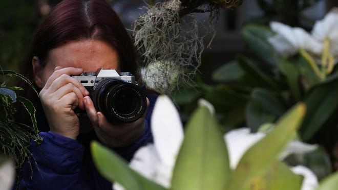 Julie Jones of Cary takes a photograph of an orchid during the Art & Orchid event at Daniel Stowe Botanical Garden in Belmont Saturday, February 27, 2016. Mike Hensdill/The Gazette