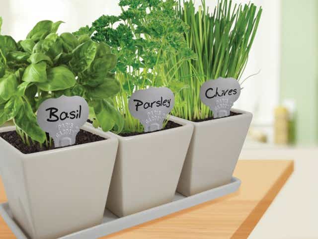 Tips to keeping an indoor herb garden alive