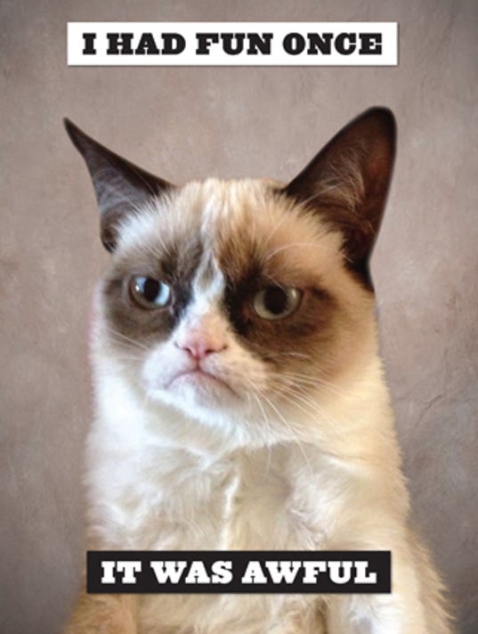 Guess Usa Sale >> Lil Bub and Grumpy Cat claw their way into bookstores Guess Usa Sale >> Lil Bub and Grumpy Cat claw their way into bookstores