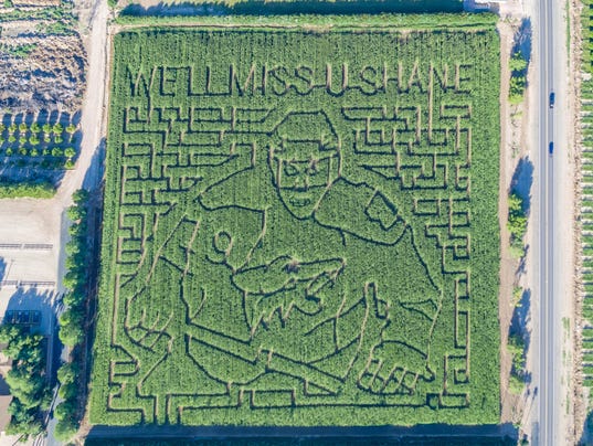 Shane Doan's face carved into Schnepf Farms corn maze