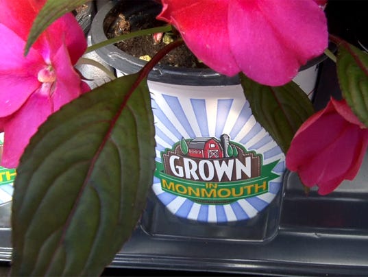 ASB 0504 GROWN IN MONMOUTH
