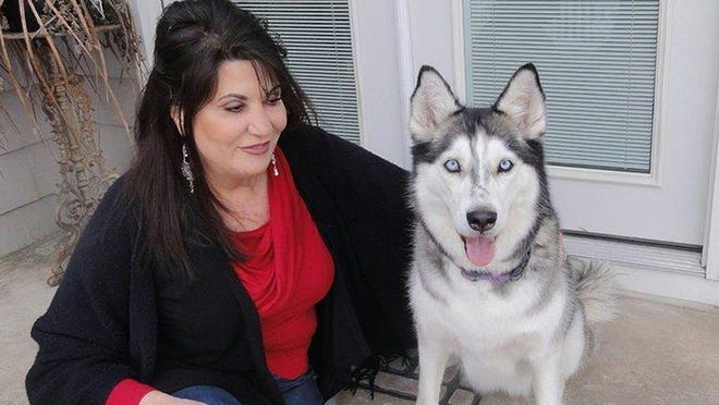 Democratic Rhode Island state Rep. Charlene Lima introduced a bill in the state legislature dealing with pet custody.