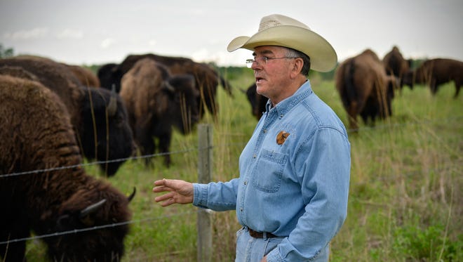 Rural Becker bison farmer Tom Barthel talks about his current herd of 26 bison Tuesday, May 24, 2016. Barthel raises them for meat.
