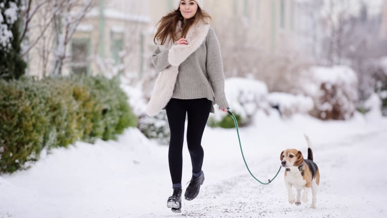 walking dog in winter