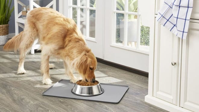 These stainless steel bowls can go in the dishwasher.