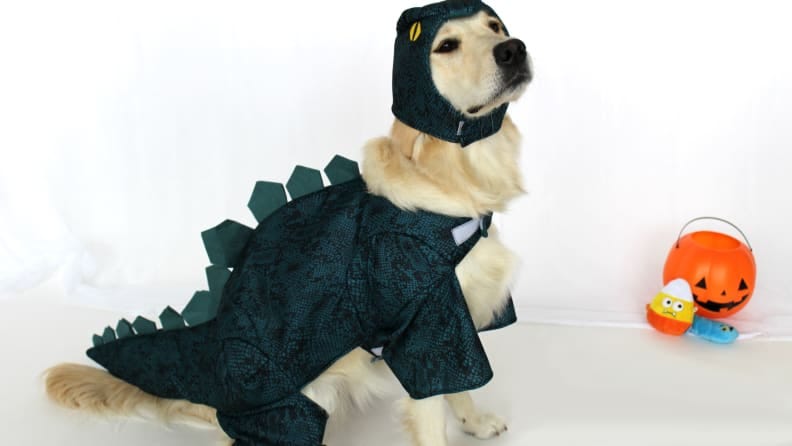 Turtle Shell Animal Funny Cute Fancy Dress Pet Shop Halloween Dog Cat Costume 