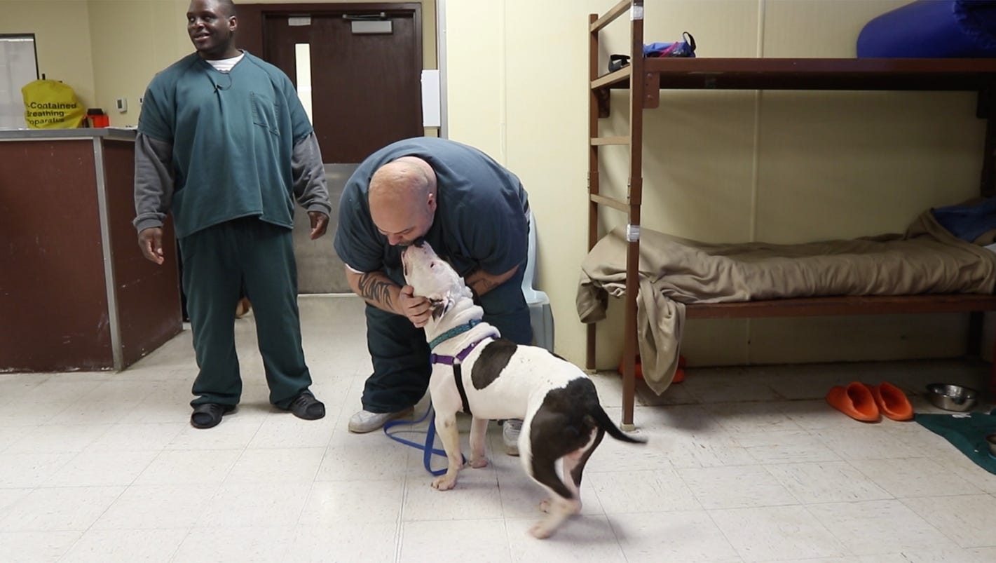 Monroe County Jail Inmates, dogs get a new 'leash' on life