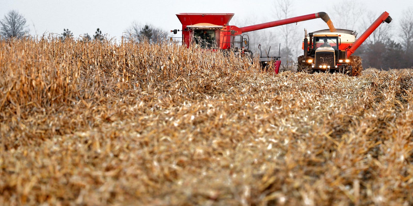 Student Loan Forgiveness Proposed For Young Farmers