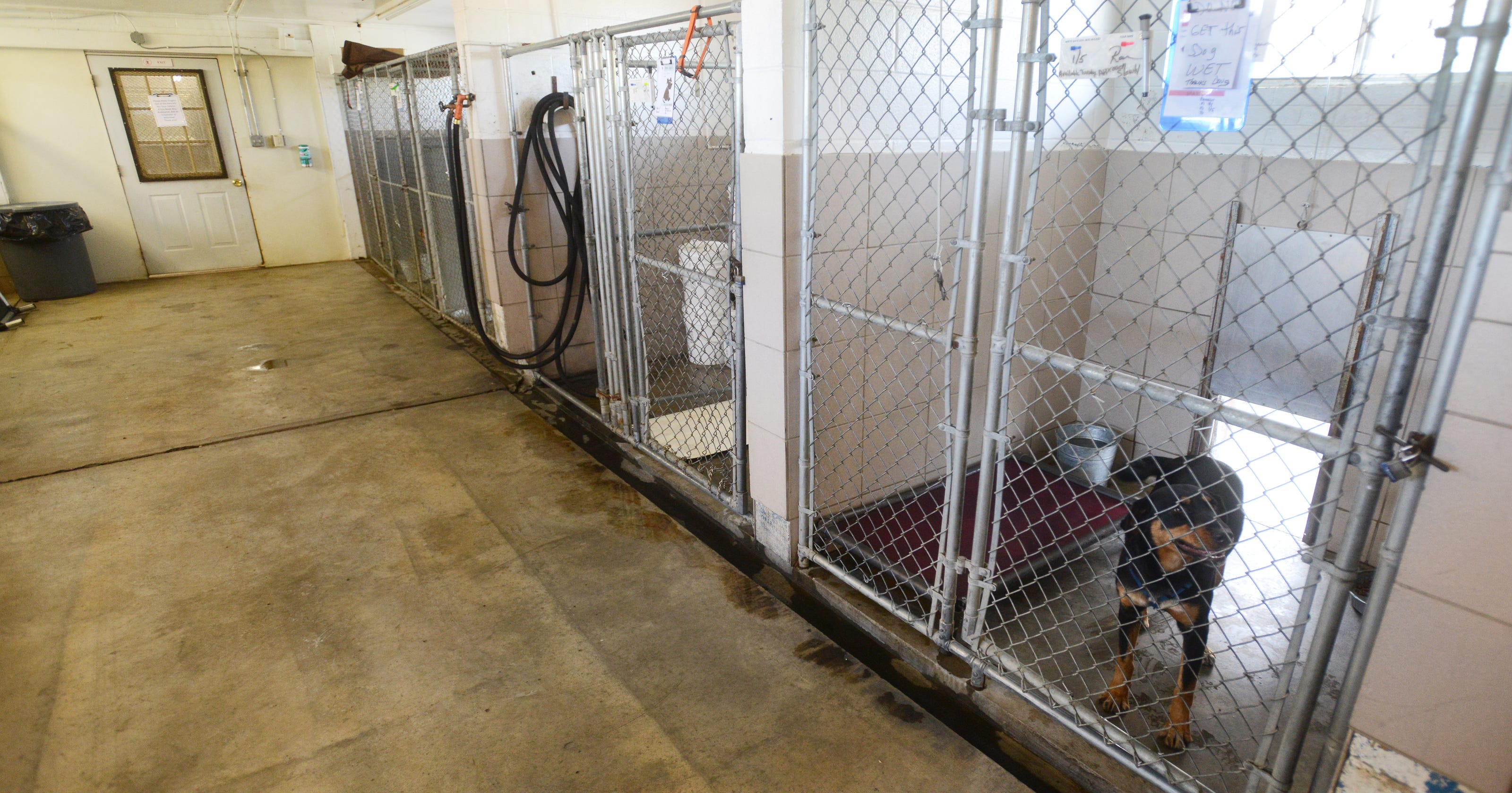 Muskingum County Dog Pound seeks new facility