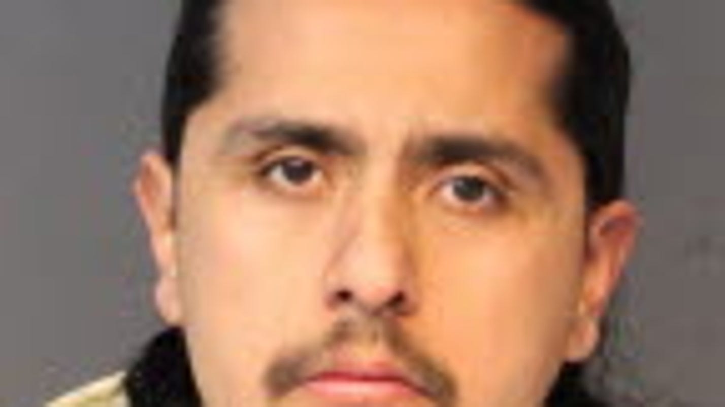 Jailed fugitive accuses Washoe deputies of excessive force for siccing