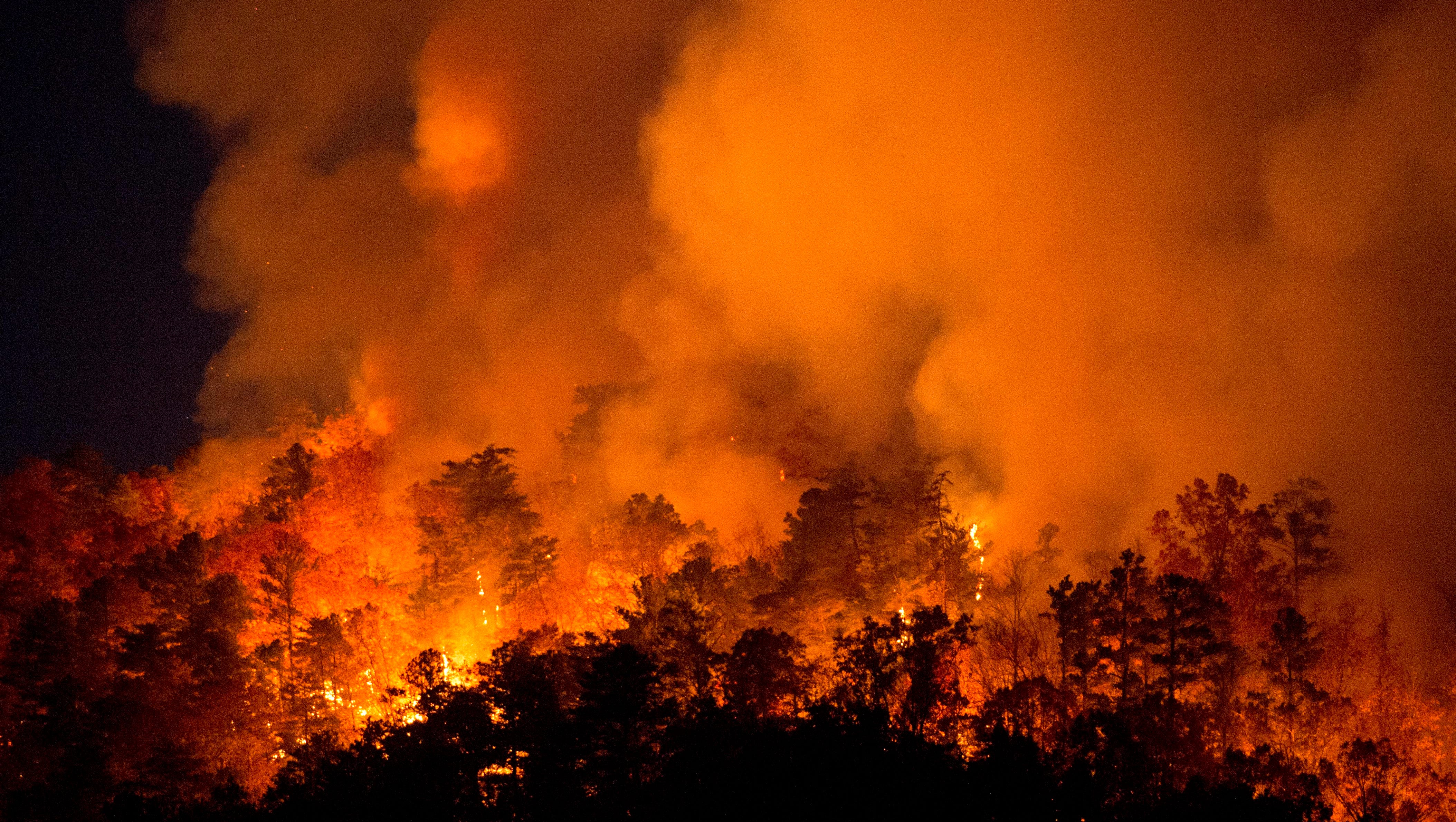 Forest fires burn 119,000 acres in 8 Southeastern states Forest fires burn 119,000 acres in 8 Southeastern states