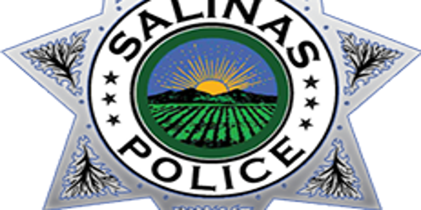 Salinas Police Arrest Suspect In Fresno Teens Murder