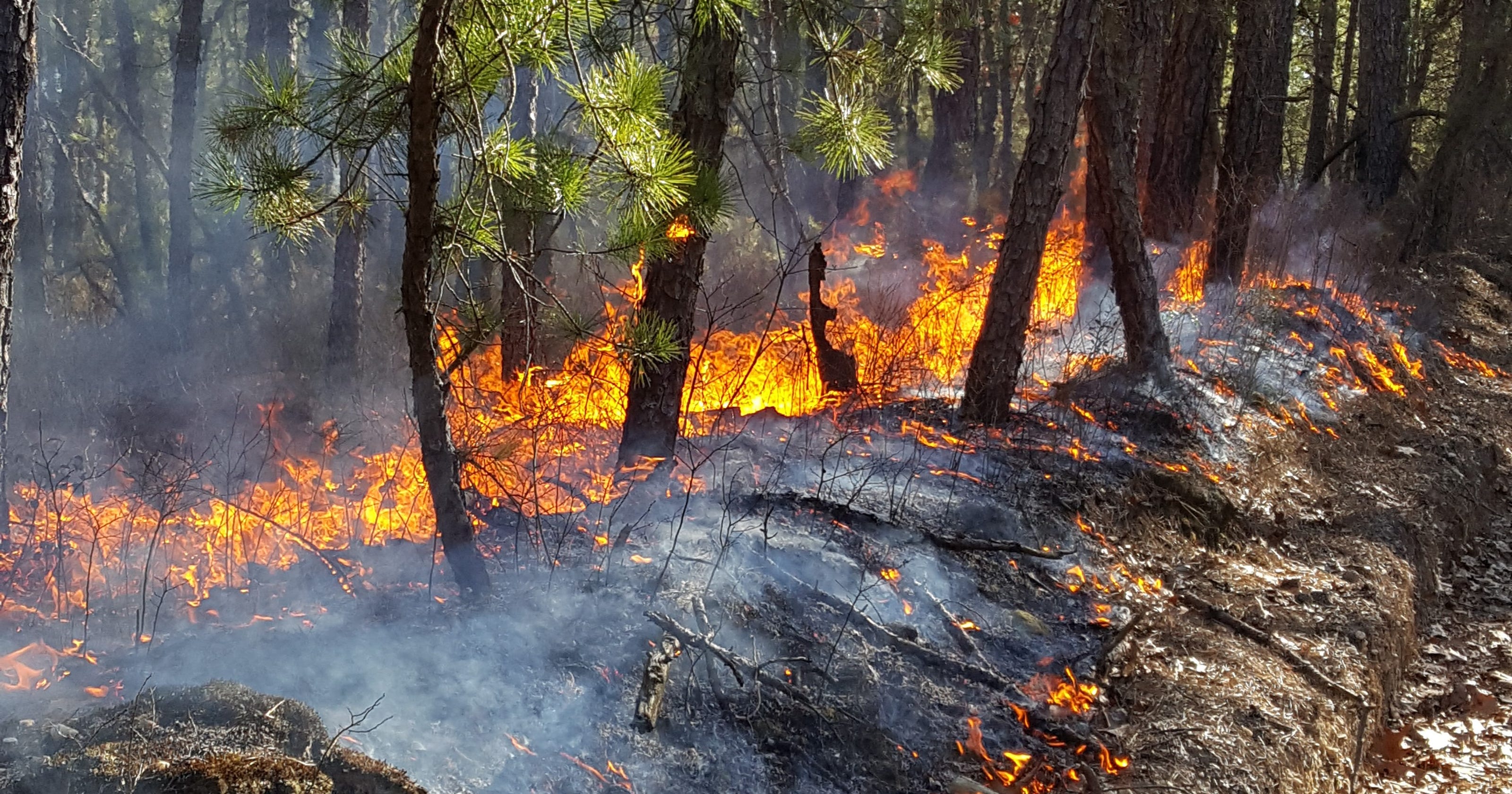 UPDATE: Greenwood wildfire burns 570 acres