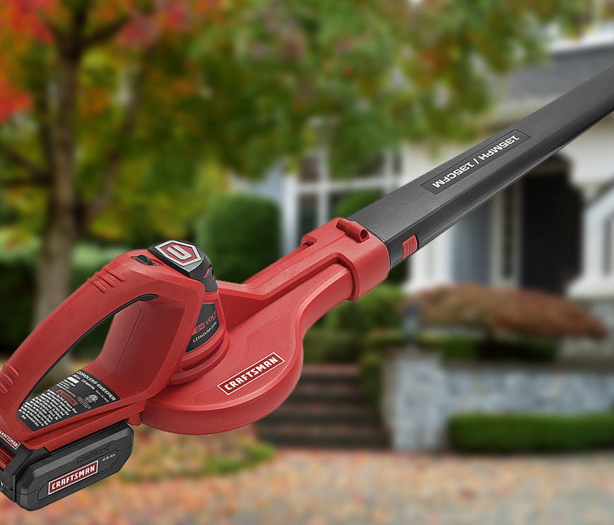 Ditch the rake this fall—this cordless leaf blower is at its lowest price ever