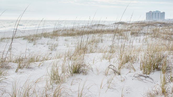 Johnson Beach in Perdido Key is pictured Feb. 6. A project that starts Monday will restore about 20 acres of degraded dune habitat on Perdido Key.