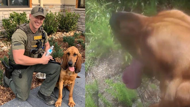 Flagler County Sheriff's deputy Sgt. Gimbel and his partner, K-9 Holmes, located a missing 13-year-old boy with disabilities Friday afternoon.