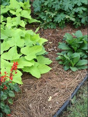 Garden Help Mulch Now Do Less Yardwork Later