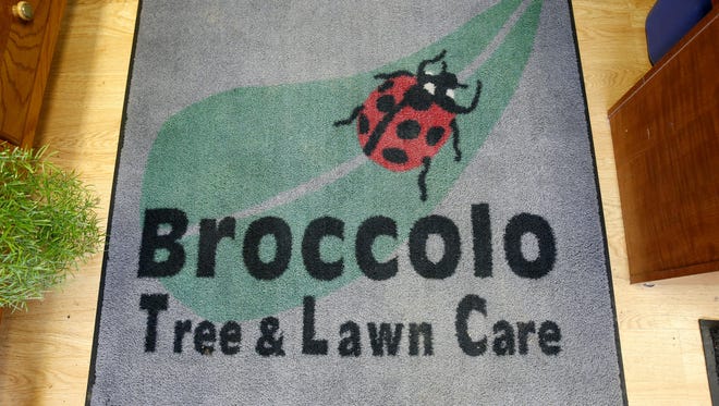 Broccolo Tree & Lawn Care.